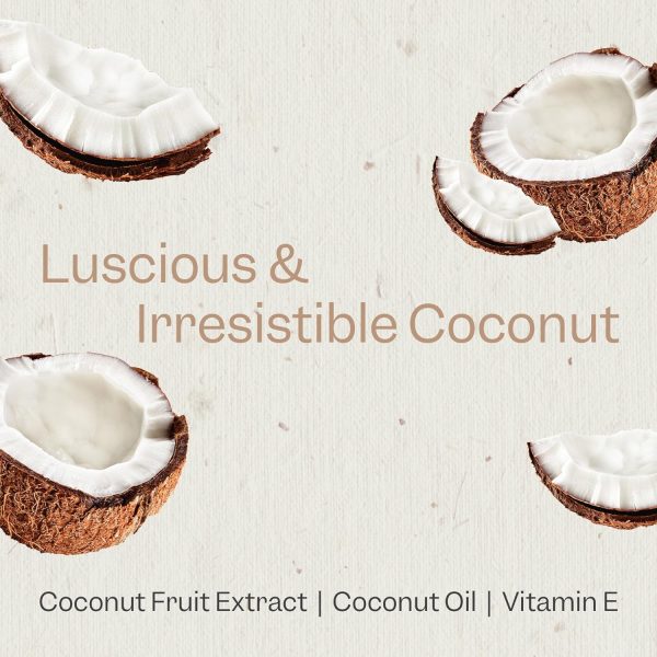 RENPURE Plant Based Natural Leave In Conditioner Spray - Hydrating Vitamin E & Coconut Oil Deep Conditioner for Hair & Beards - Sulfate Free, Anti Frizz, Heat Protectant Detangler Spray Leave In - Image 3